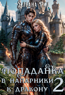 Попаданка в напарники к дракону 2