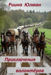 Приключения волонтёров