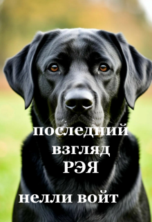 Последний взгляд Рэя