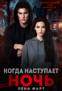 Когда наступает ночь