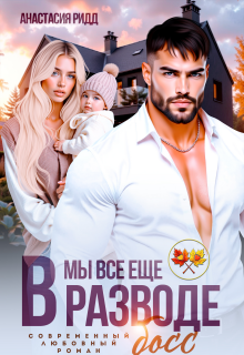 Мы все еще в разводе, босс!