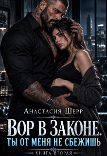 Вор в законе. Ты от меня не сбежишь