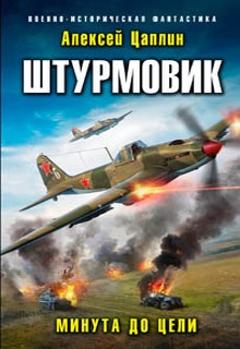 Штурмовик. Минута до цели