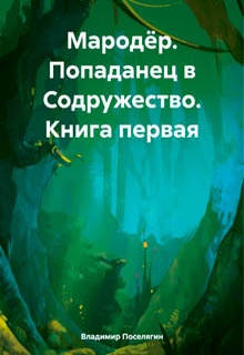 Мародёр. Попаданец в Содружество. Книга первая