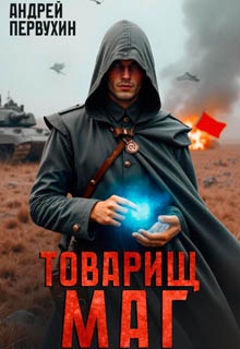 Товарищ маг