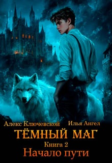 Тёмный маг. Книга 2. Начало пути