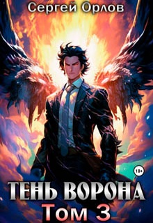 Тень Ворона – 3
